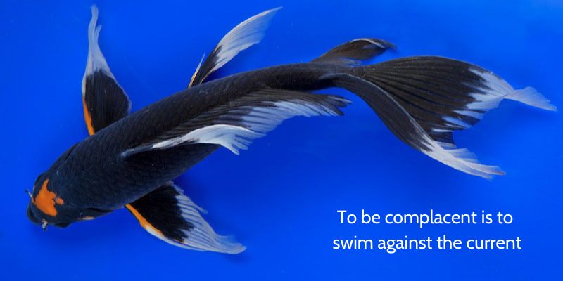 To be complacent is to swim against the current